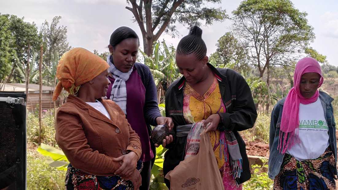 Wamboma Coop Tanzania supporting female farmers to access the tourism supply chain