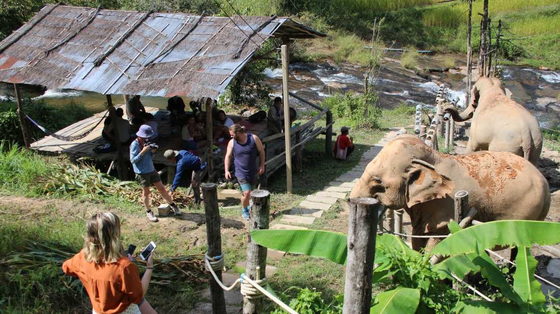 Chang Chill outside Chiang Mai