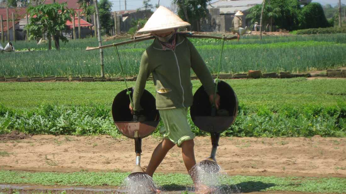 Local farming in the Kontum area, Vietnam