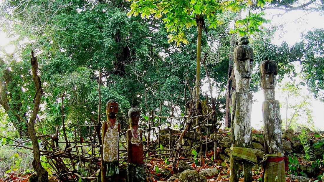 Statures in the forest of East Timor