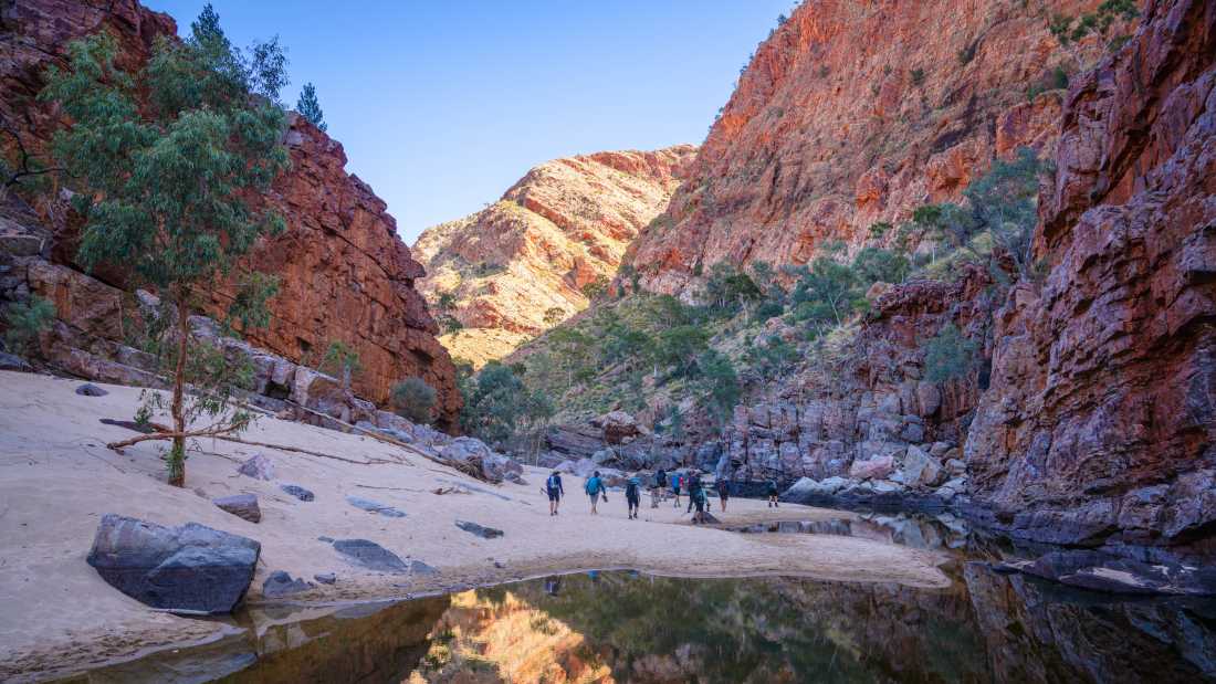 Hiking through Ormiston Gorge |  Luke Tscharke