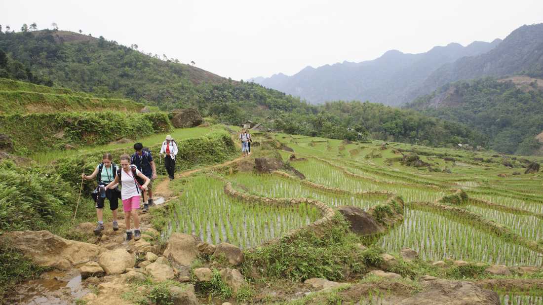School kids trekking in Vietnamese countryside |  Nick Hardcastle