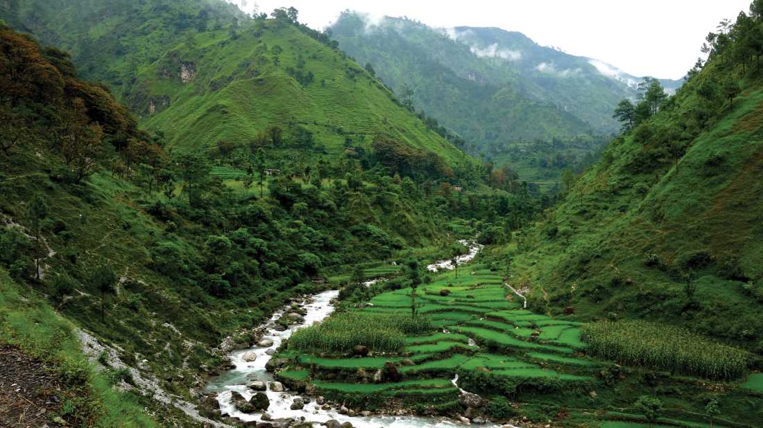 Terraced valleys of far western Nepal |  Michelle Landry