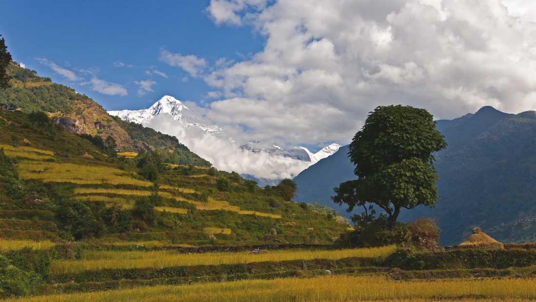 The trails of the Annapurna region are dotted with small villages |  Peter Walton