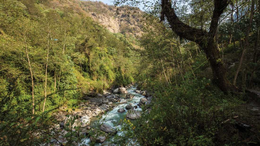 Verdant valley just outside of Landruk |  Mark Tipple