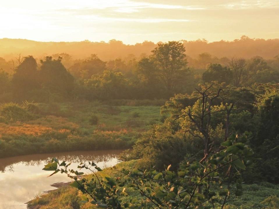 Our Positive Impact Projects, such as the Kariba REDD+ forest protection in Zimbabwe, supports local communities and their sustainable development. |  <i>South Pole</i>