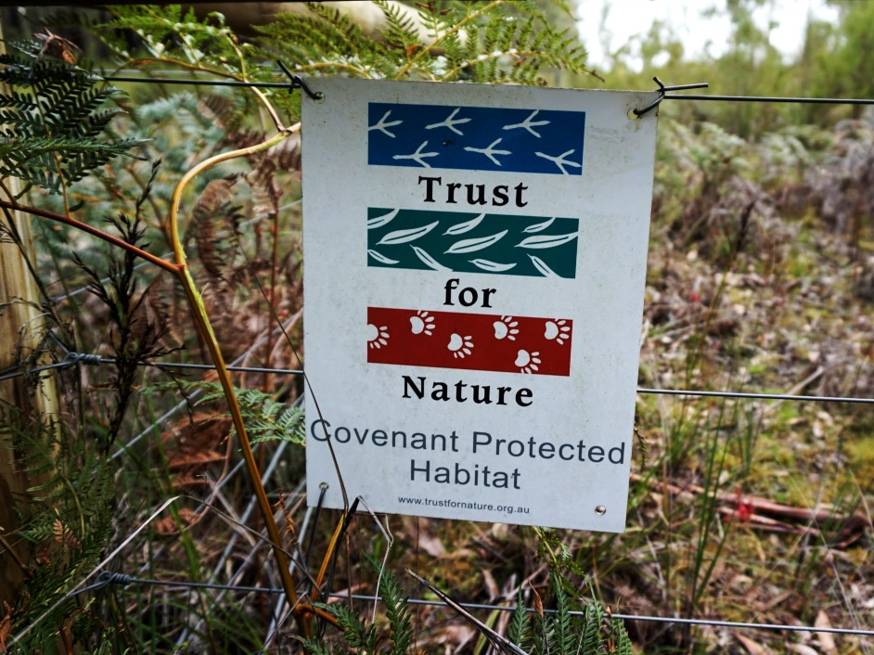 Our Positive Impact Projects support conservation projects in Victoria's Annya State forest land in Australia. |  <i>South Pole</i>