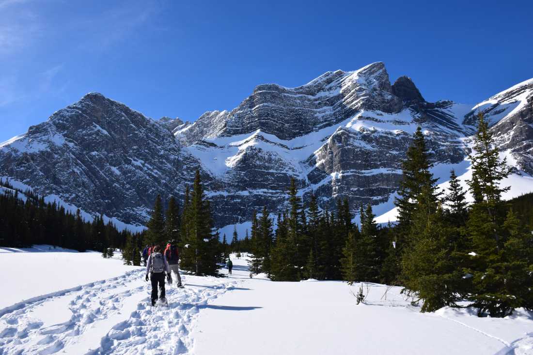 Snowshoeing in the beautiful Canadian Rockies