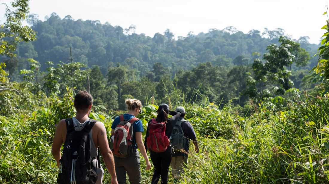 Heading into the jungle for tree planting regenerative conservation work, Gua Musang